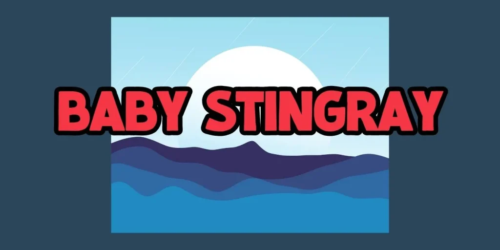Baby Stingrays Font