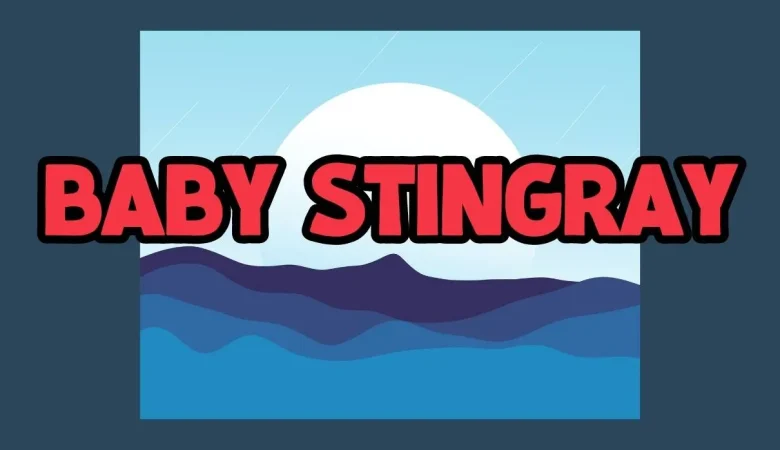 Baby Stingrays Font